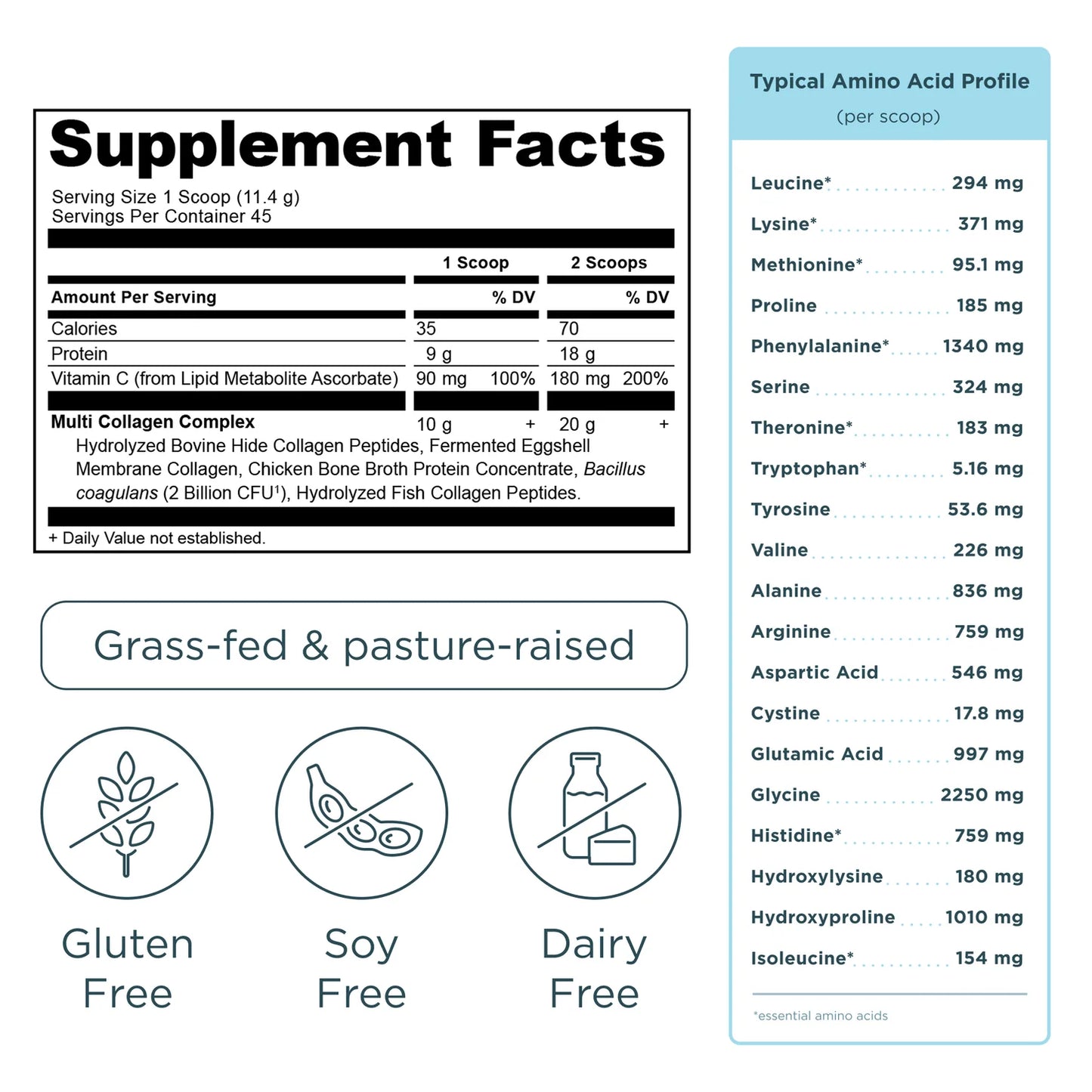Multi Collagen Protein